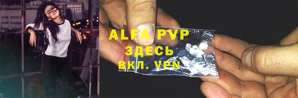 стаф Алексин