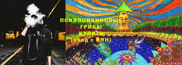 стаф Алексин
