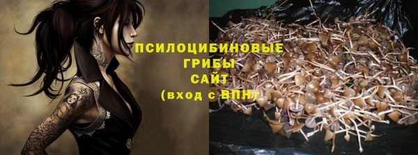 винт Алексеевка