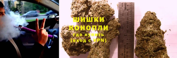 сатива Абаза