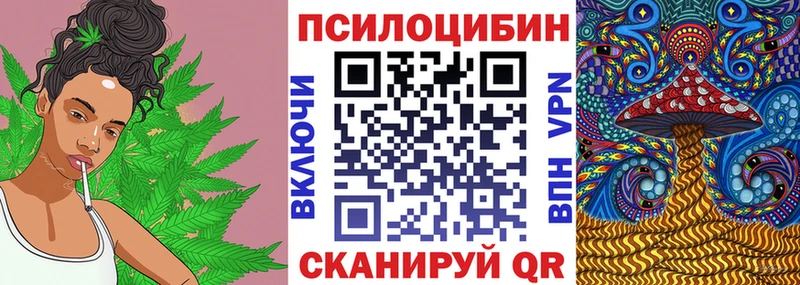 где найти наркотики Новоаннинский площадка телеграм Псилоцибиновые грибы Cubensis